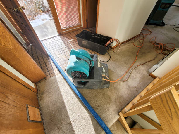 Best Water damage cleanup near me  in Warroad, MN