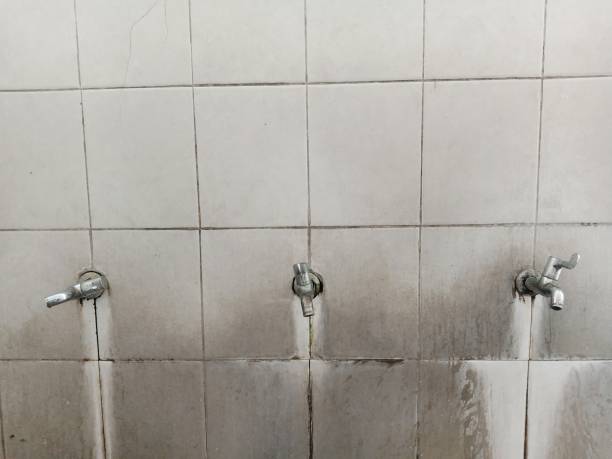Best Commercial water damage restoration  in Warroad, MN
