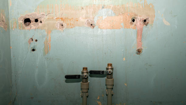 Best Water damage restoration near me  in Warroad, MN