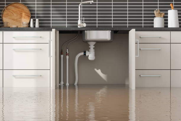 Reliable Warroad, MN Water damage restoration Solutions